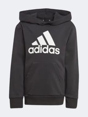 Adidas Essentials Logo Kids-Unisex Sportswear Hoody Black/White