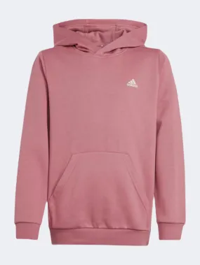 Adidas Essentials Small Logo Feel Cozy Kids-Girls sportswear Hoody Preloved Crimson