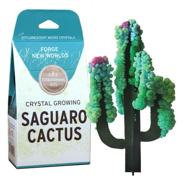 Cactus Crystal Growth Set