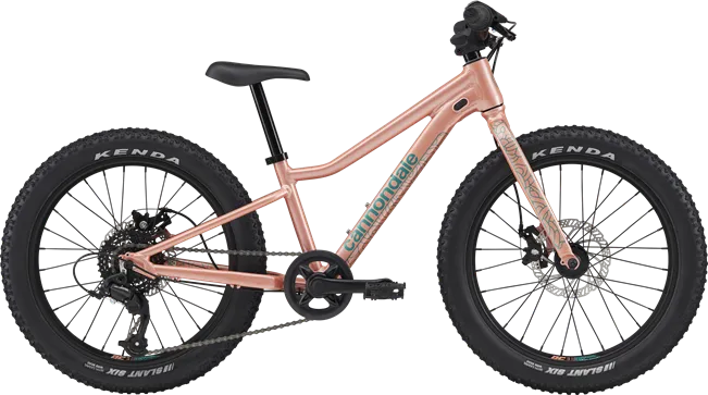 Cannondale Kids Trail Plus 20