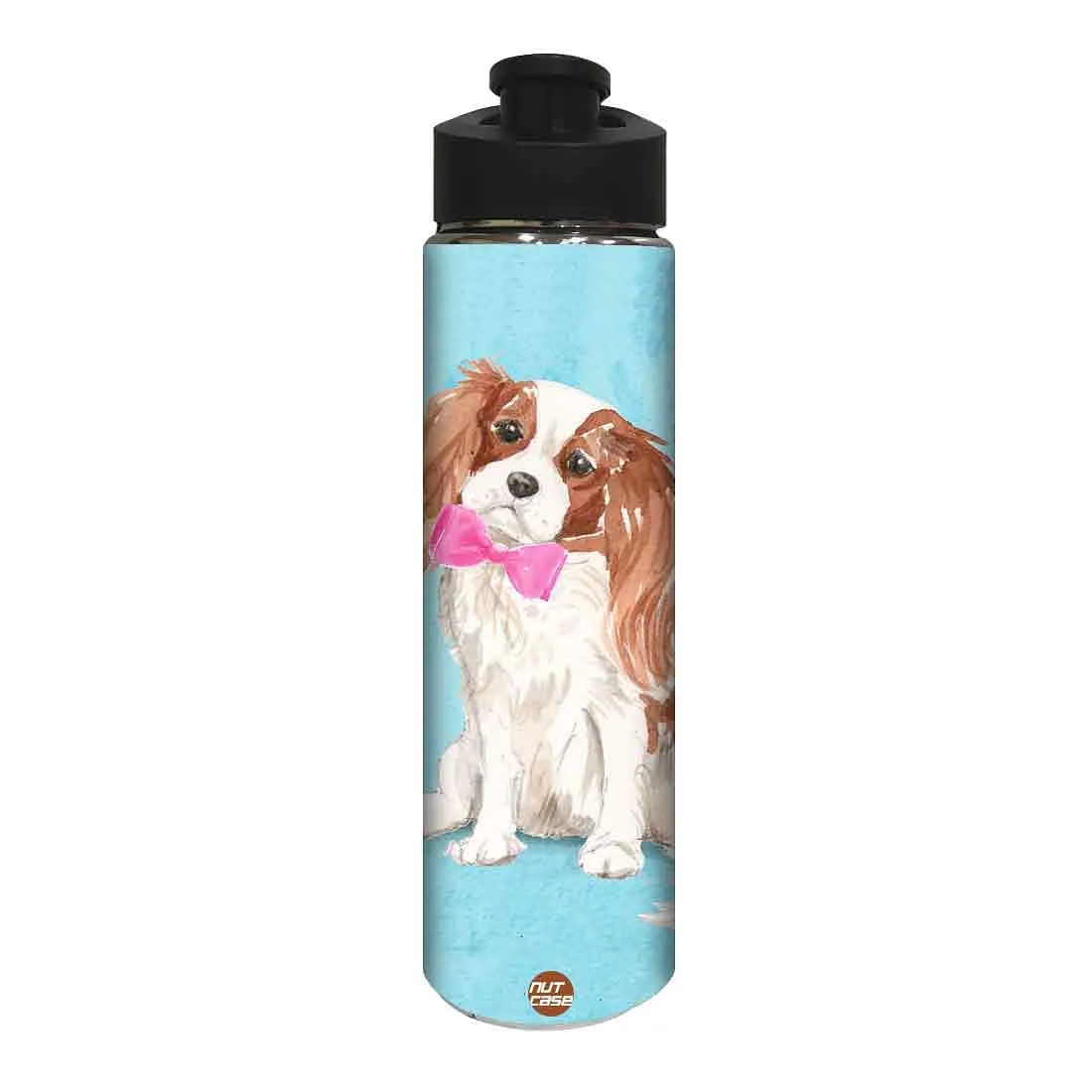 Designer Sipper Bottle for Kids -  Smarty Dog