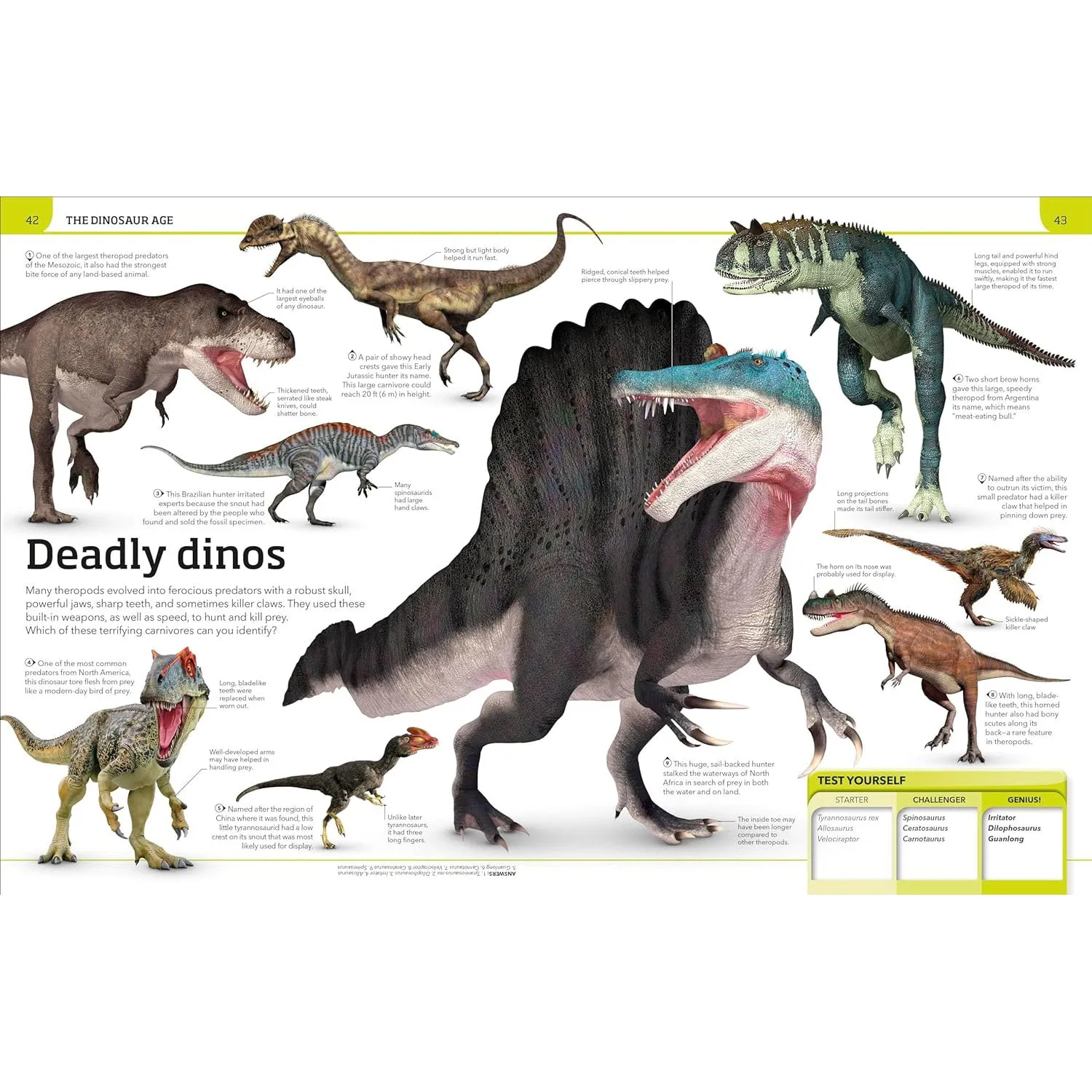 Dinosaur Expert Book