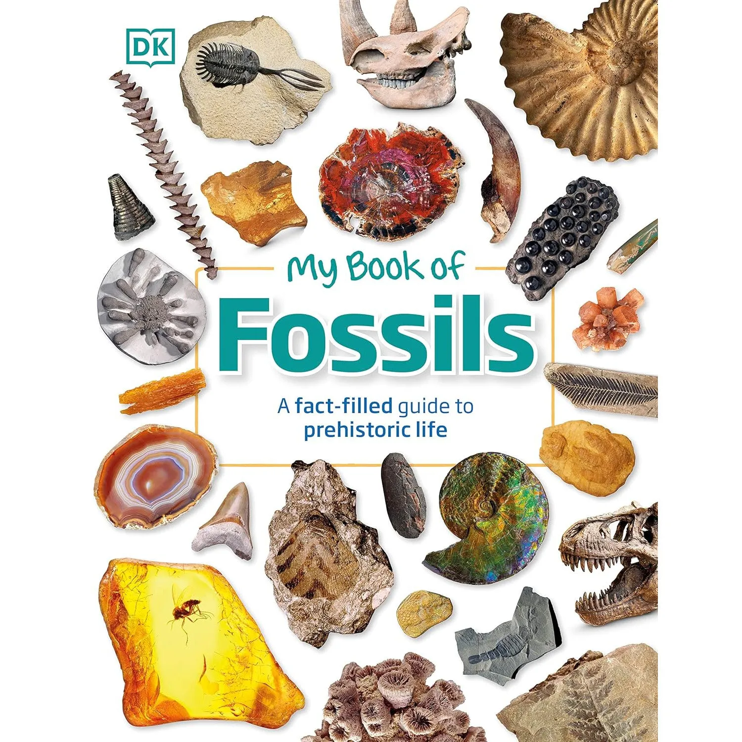 Fossil Book Guide for Kids