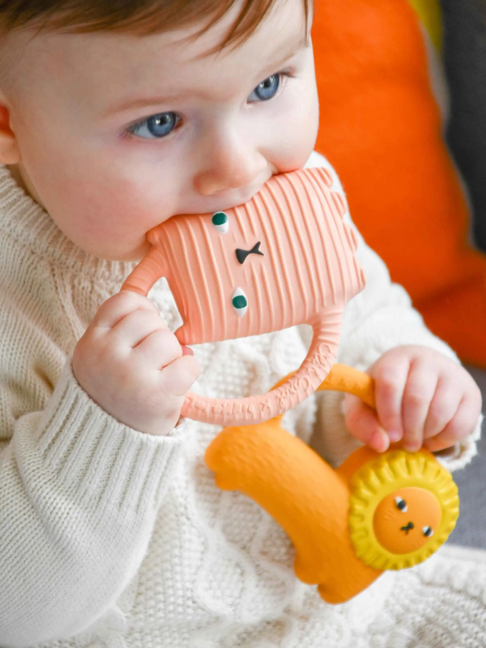 Cat Teething Ring