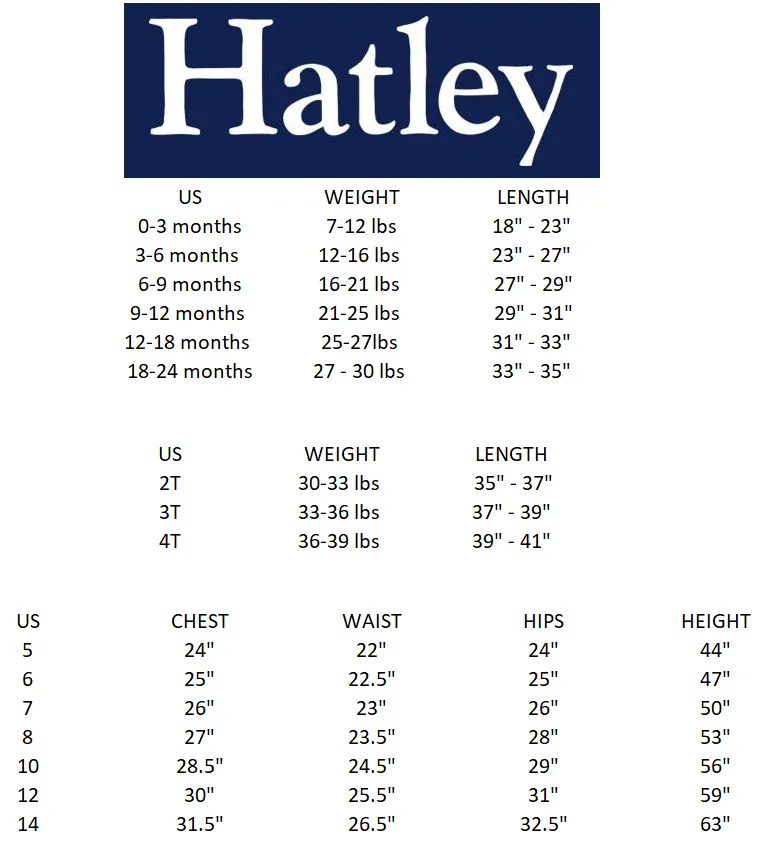 Hatley Children's Ombre Raglan Sweatshirt