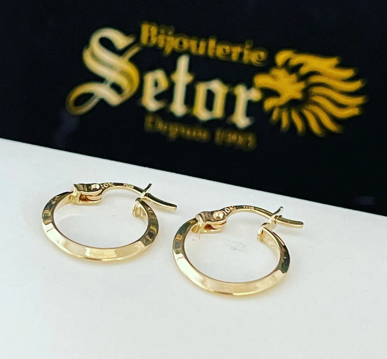 E219 Small Hoop Earrings