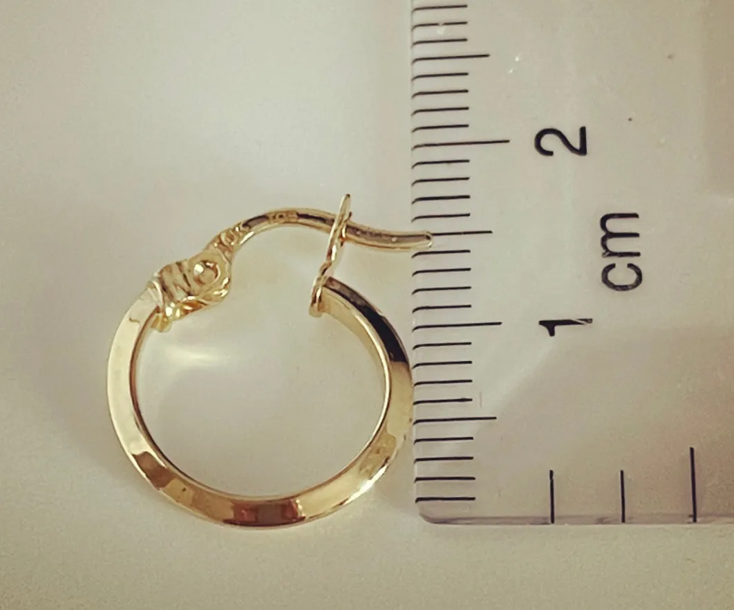 E219 Small Hoop Earrings