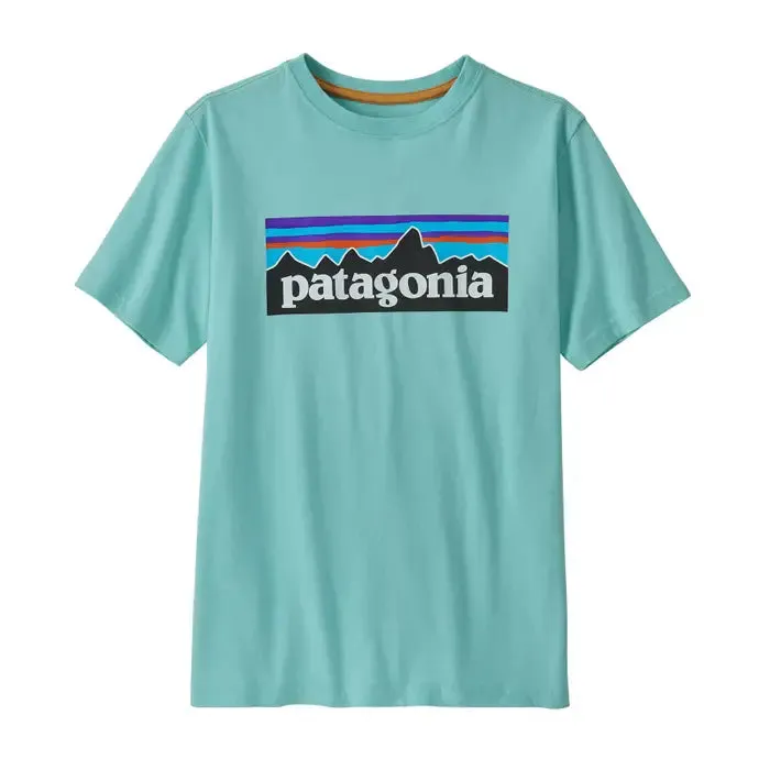 Patagonia Kids Regenerative Organic Certified Cotton P6 logo T-Shirt (SB)