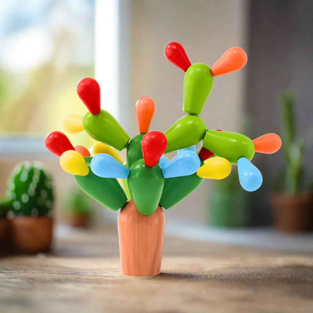 Cactus Balls Toy for Children Ages 3-5