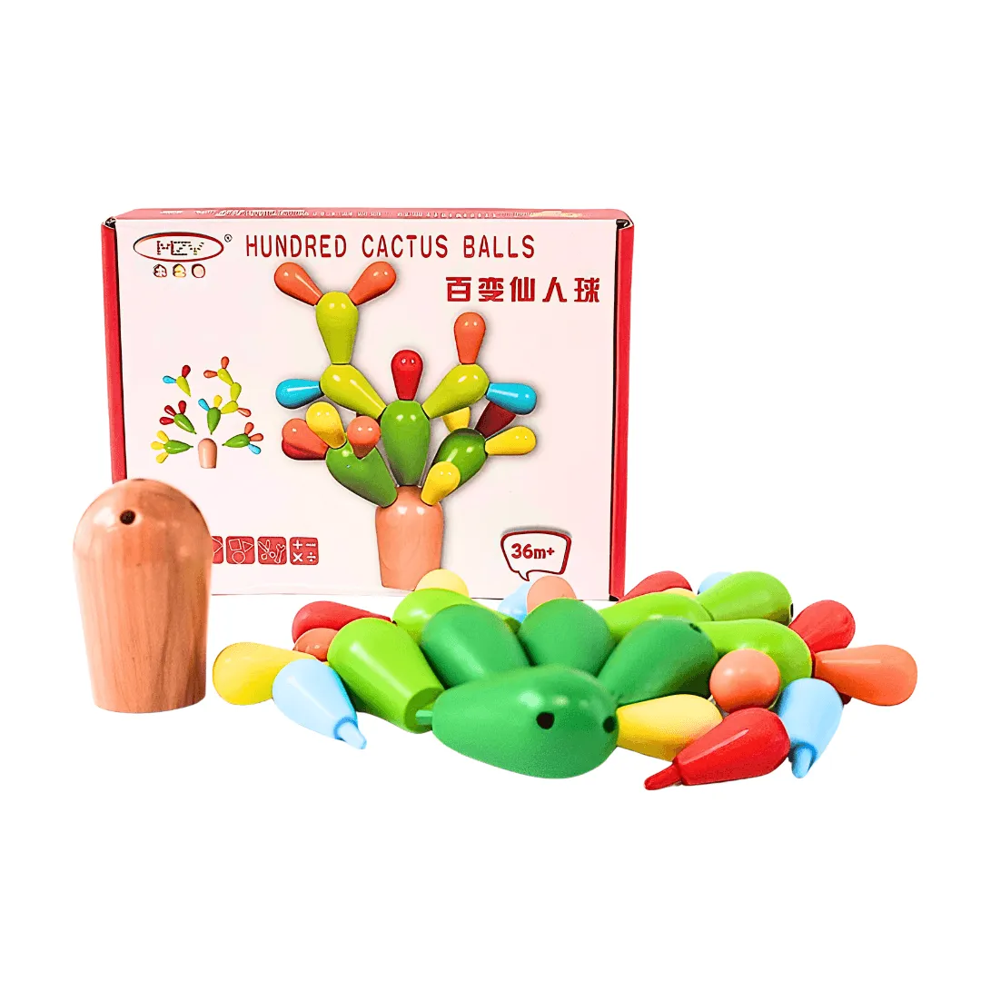 Cactus Balls Toy for Children Ages 3-5