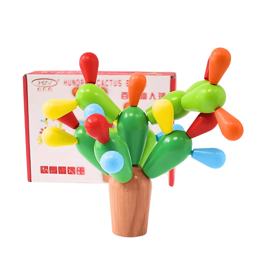 Cactus Balls Toy for Children Ages 3-5