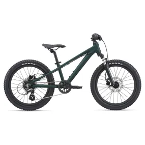 STP 20 Kids Mountain Bike