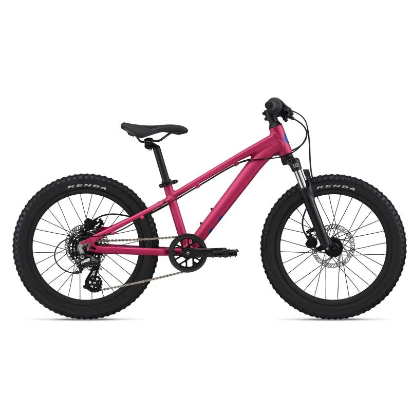 STP 20 Kids Mountain Bike