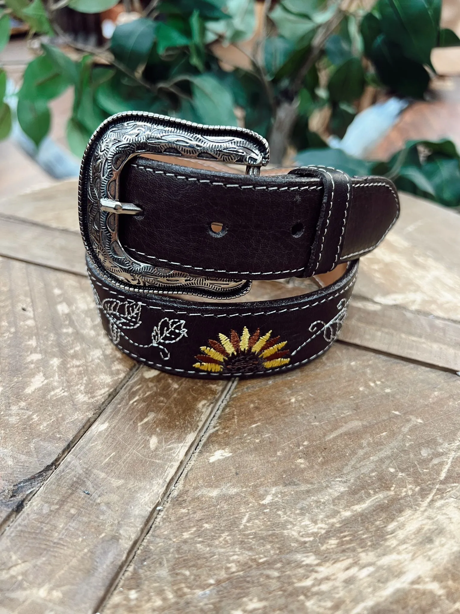 Sunflower Choco Kids Belt