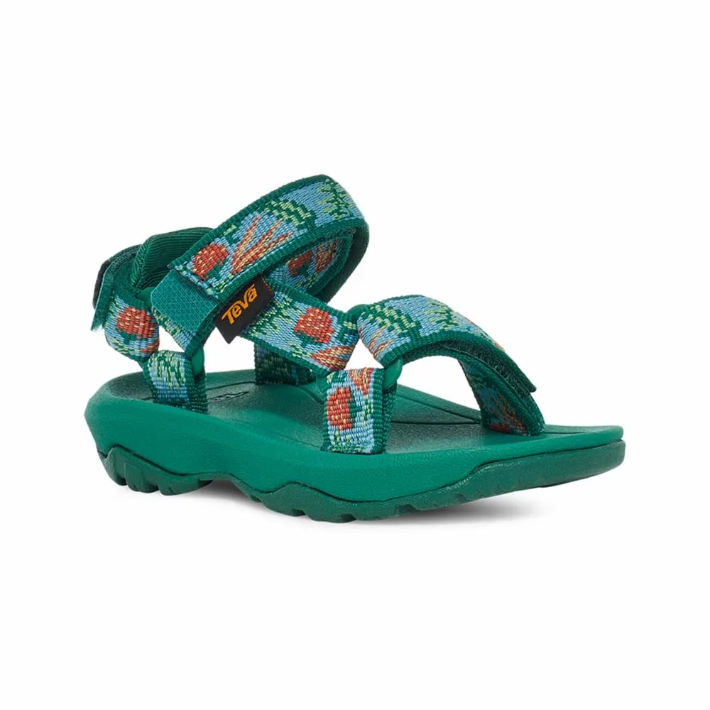 Teva  Kids' Hurricane Xlt 2 Toddler Green M