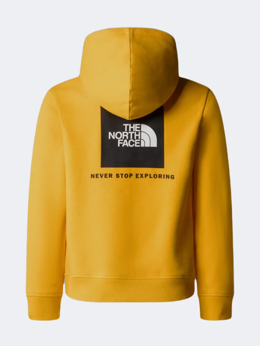 The North Face Redbox Nse Kids Lifestyle Hoody Gold