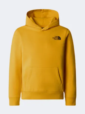 The North Face Redbox Nse Kids Lifestyle Hoody Gold