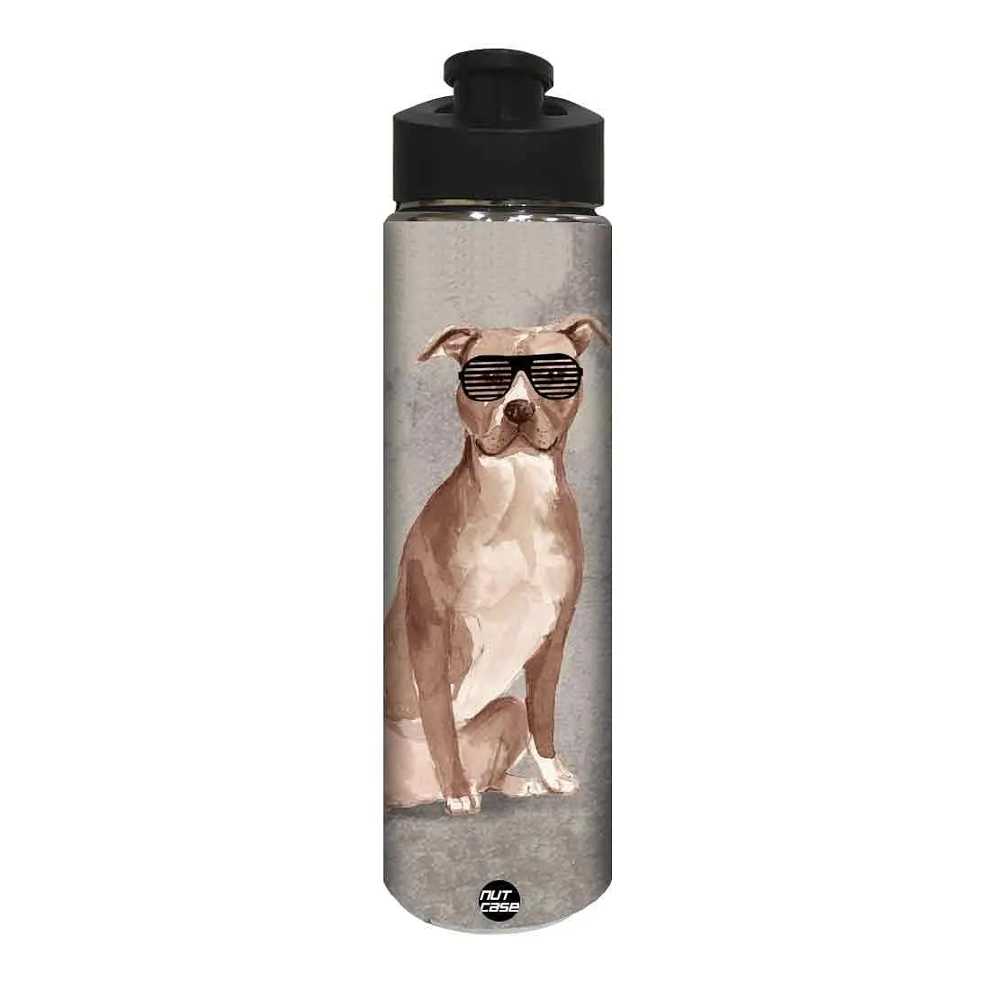 Water Bottle for Kids -  Shades on Dog