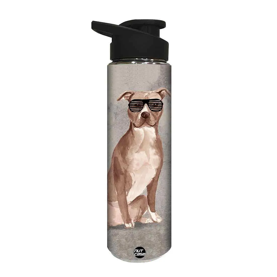 Water Bottle for Kids -  Shades on Dog